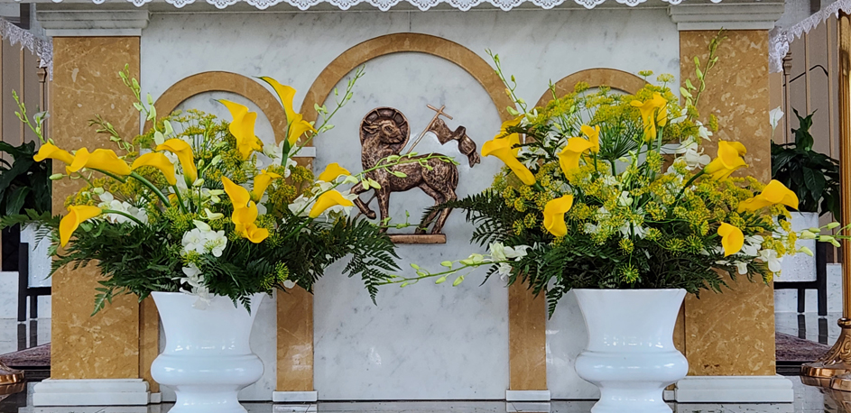 0723 Yellow Calla Lilies, White Dendrobium, Dill Flowers, & Leatherleaf Fern